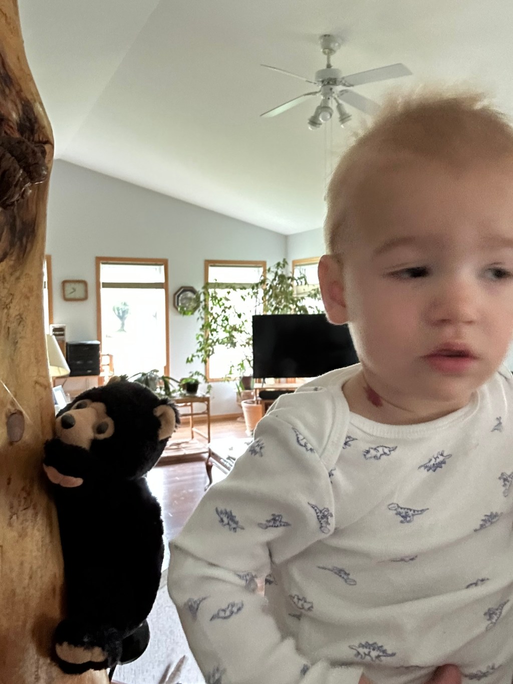 THERE IS A TREE. EPISODE 52 